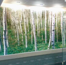 Click Here To View Larger Image