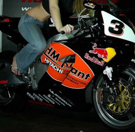 Click Here To View Larger Image