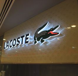 Click Here To View Larger Image